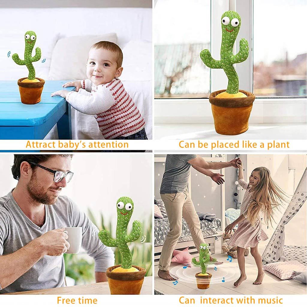 kaktus toys