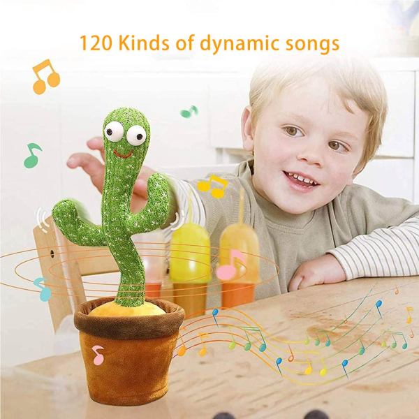 kaktus toys