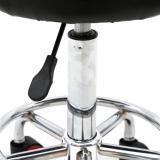 Round Shape Adjustable Salon Stool with Back and Line Black