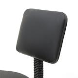 Round Shape Plastic Adjustable Salon Stool with Back Black