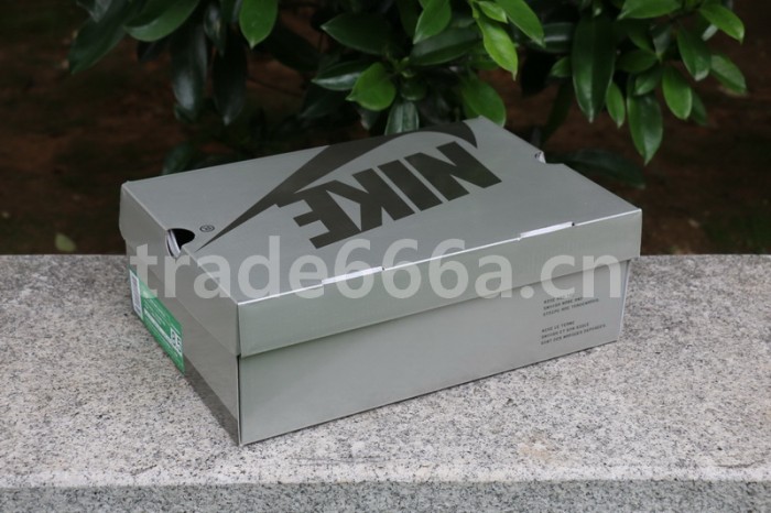 Authentic Nike Dunk Low Pro SB “Heineken”
