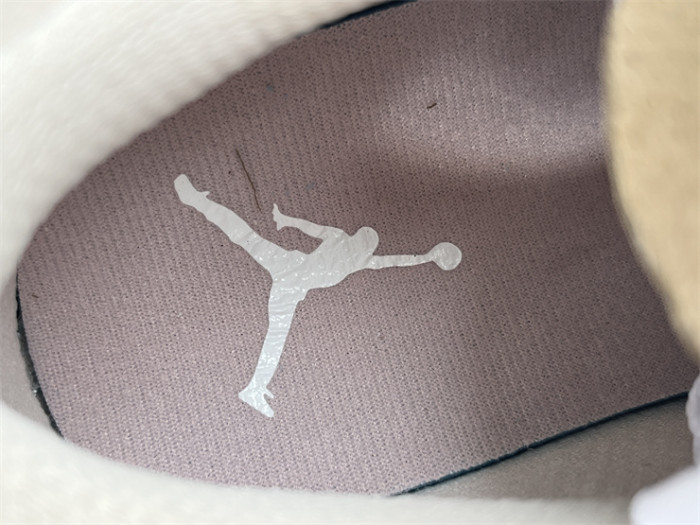 Authentic Air Jordan 1 Low DZ5356-800