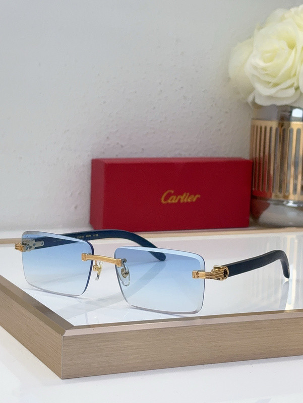 Cartier Sunglasses AAAA-10455