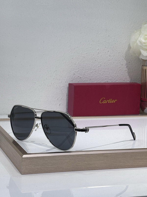 Cartier Sunglasses AAAA-10481