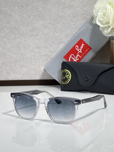 RB Sunglasses AAAA-779