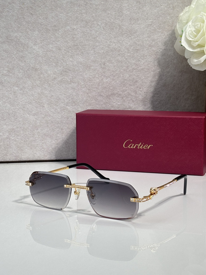 Cartier Sunglasses AAAA-14581