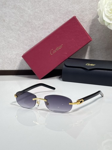 Cartier Sunglasses AAAA-12869