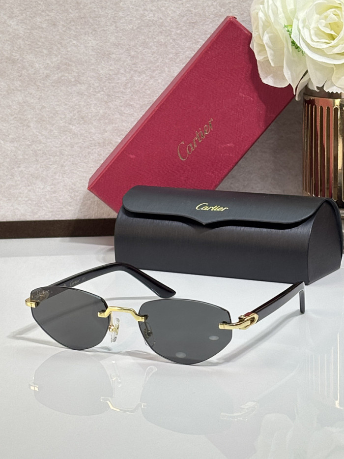 Cartier Sunglasses AAAA-13387