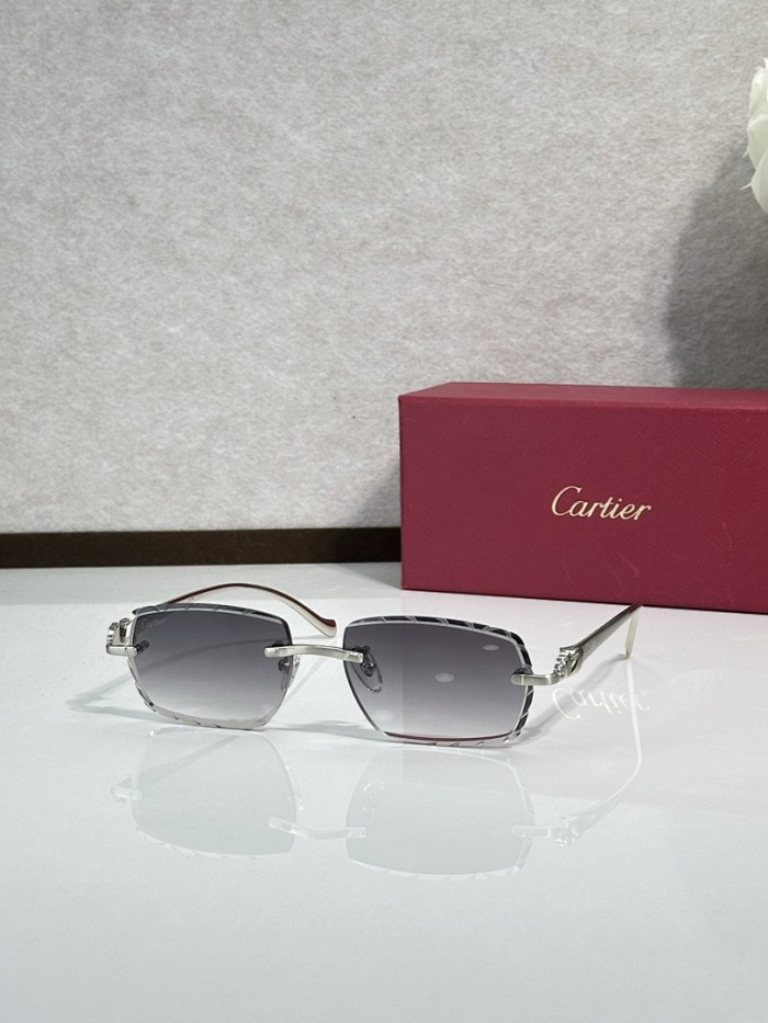 Cartier Sunglasses AAAA-14260