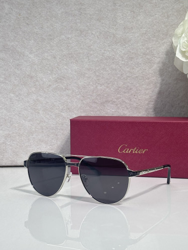 Cartier Sunglasses AAAA-13581