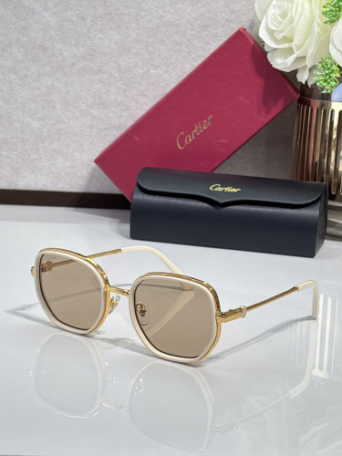 Cartier Sunglasses AAAA-13489