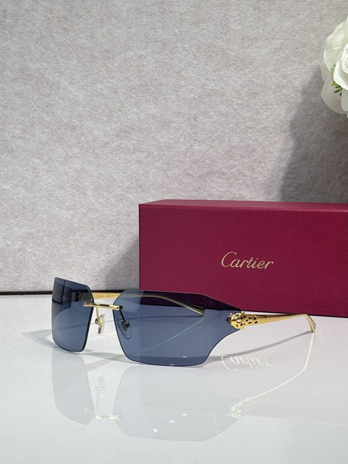 Cartier Sunglasses AAAA-13780