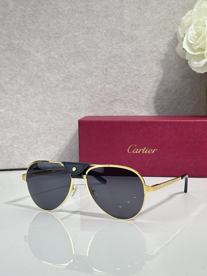 Cartier Sunglasses AAAA-14057