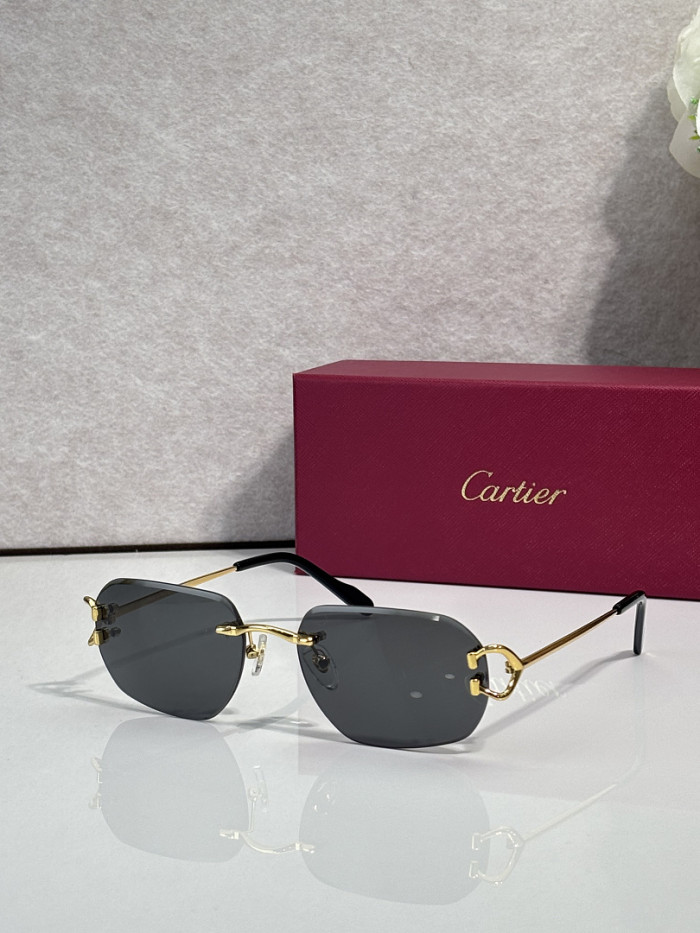 Cartier Sunglasses AAAA-13860