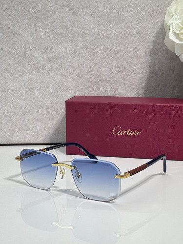 Cartier Sunglasses AAAA-13734