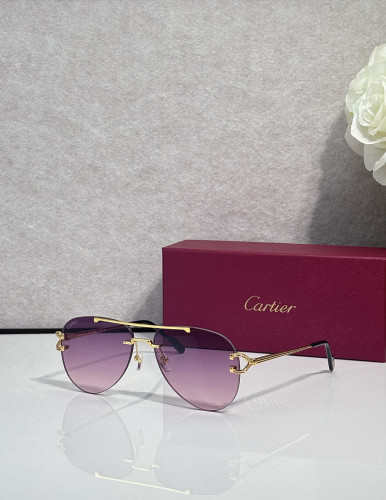 Cartier Sunglasses AAAA-13643