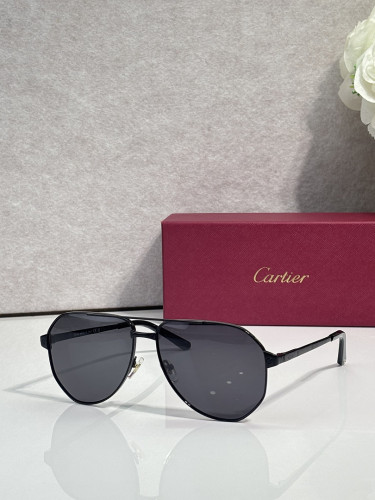 Cartier Sunglasses AAAA-14102
