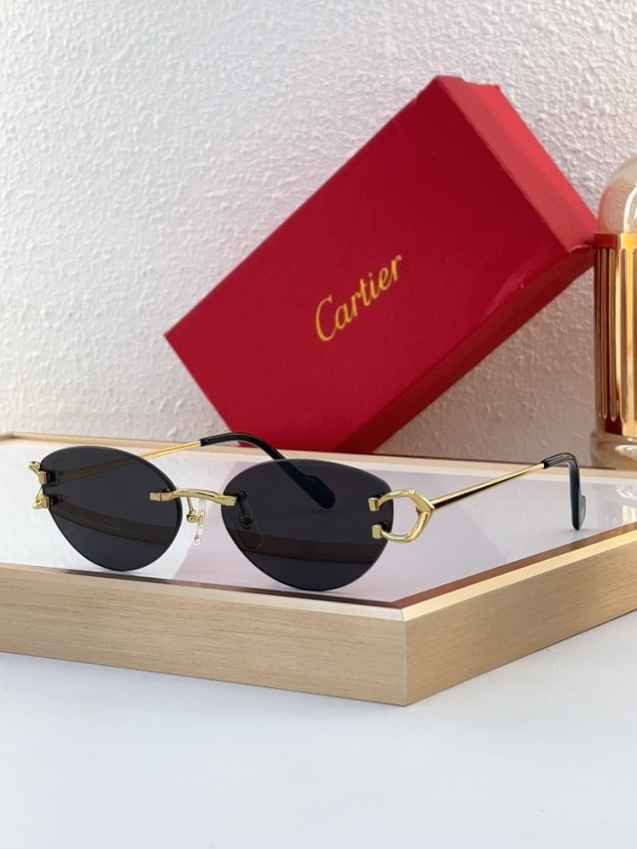 Cartier Sunglasses AAAA-13618