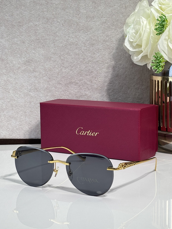 Cartier Sunglasses AAAA-13563