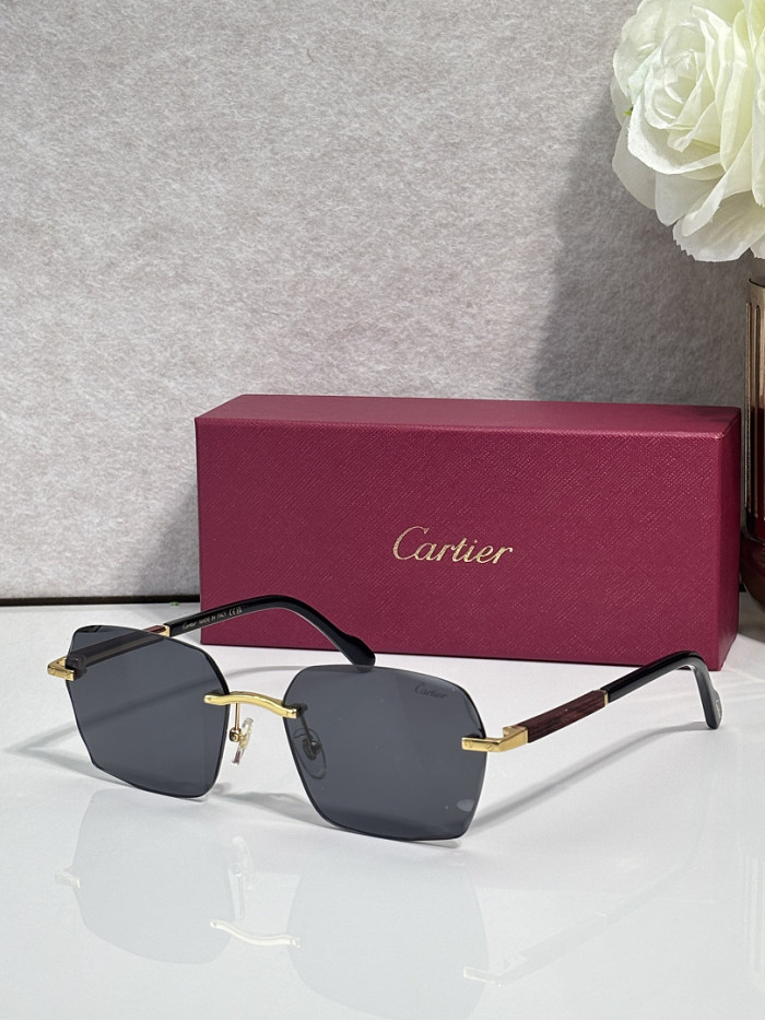 Cartier Sunglasses AAAA-13737