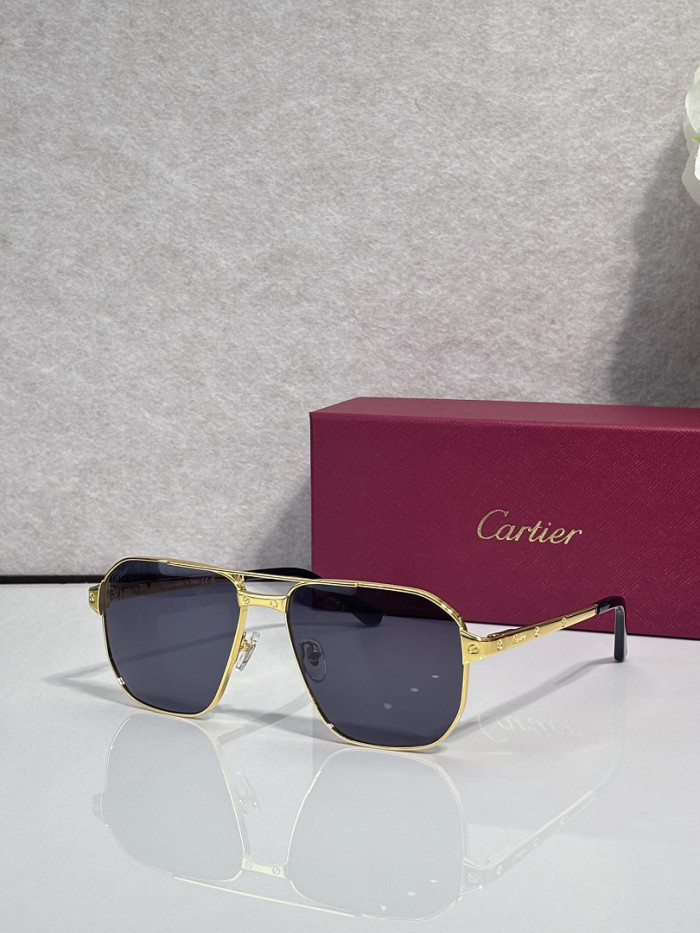 Cartier Sunglasses AAAA-13729