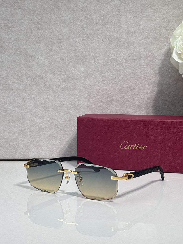 Cartier Sunglasses AAAA-13601