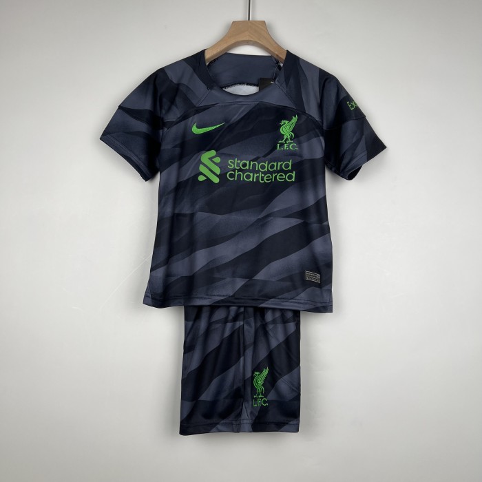 Liverpool Kids Goalkeeper Jersey 23/24 Gray