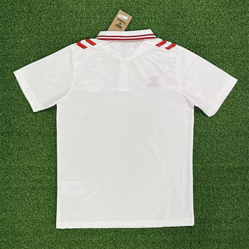 Denmark Euro 2024 Away Man Jersey