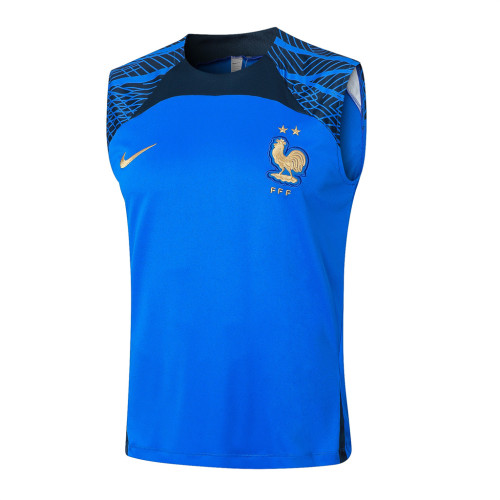 France Training Jersey 23/24