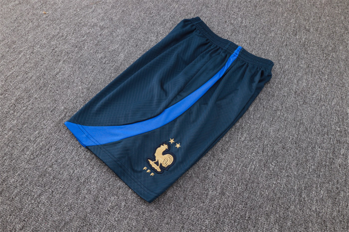 France Training Jersey 23/24