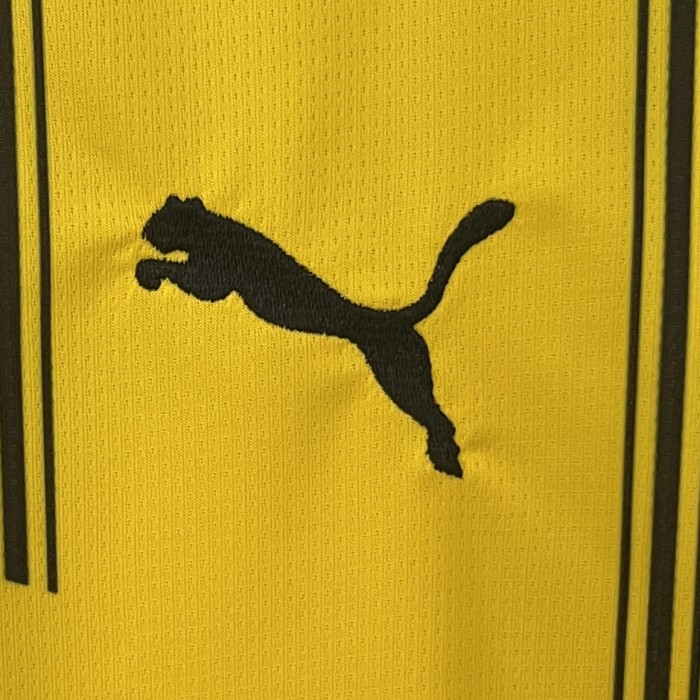 Borussia Dortmund Home Man Jersey 24/25