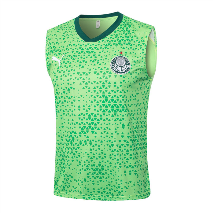 Palmeiras Training Jersey 23/24