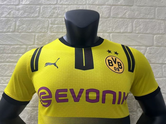 Borussia Dortmund Cup Men Player Jersey 24/25