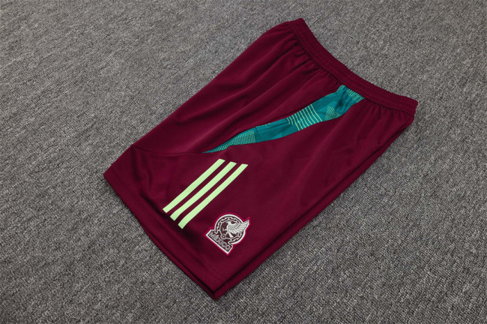 Mexico Training Jersey 24/25