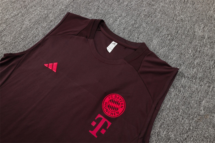 Bayern Munich Training Jersey 24/25