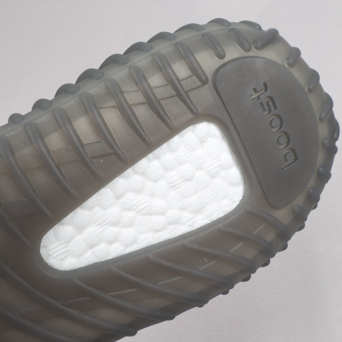 V2 Beluga 2.0