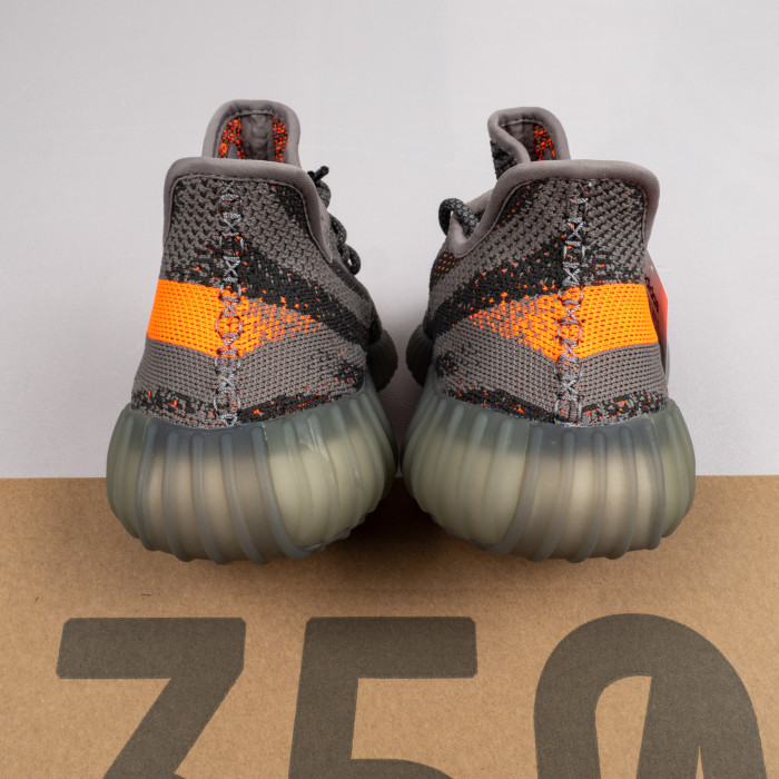 Beluga