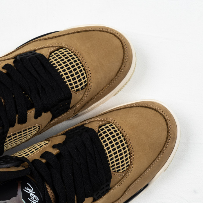 4's Retro Fossil