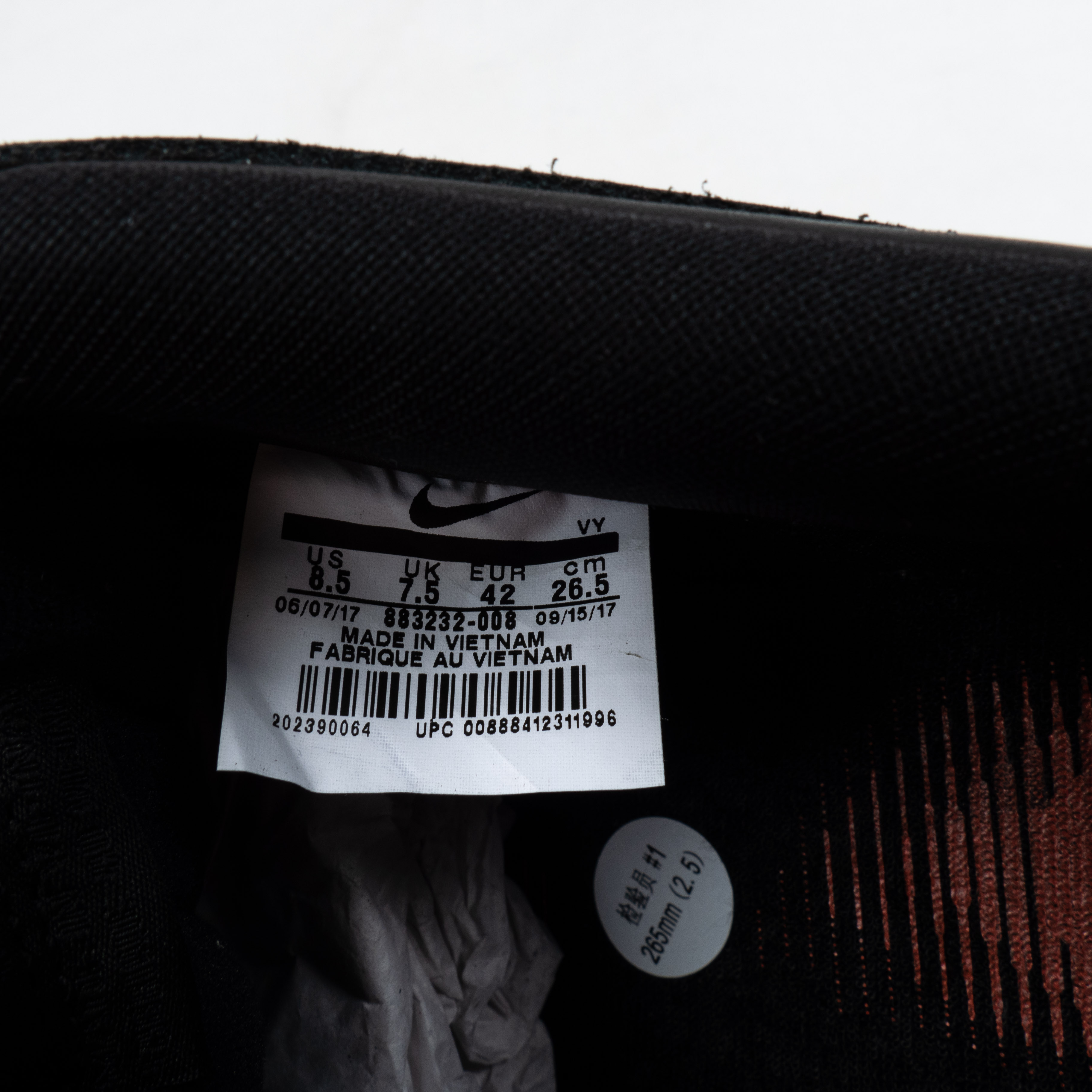 SB Dunk Low Black Pigeon
