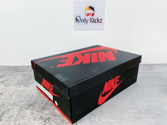 1's Retro High OG Tokyo Bio Hack's