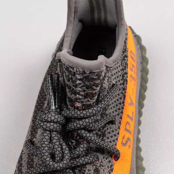 V2 Beluga Reflective