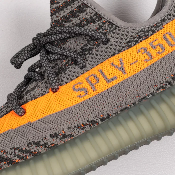 V2 Beluga Reflective