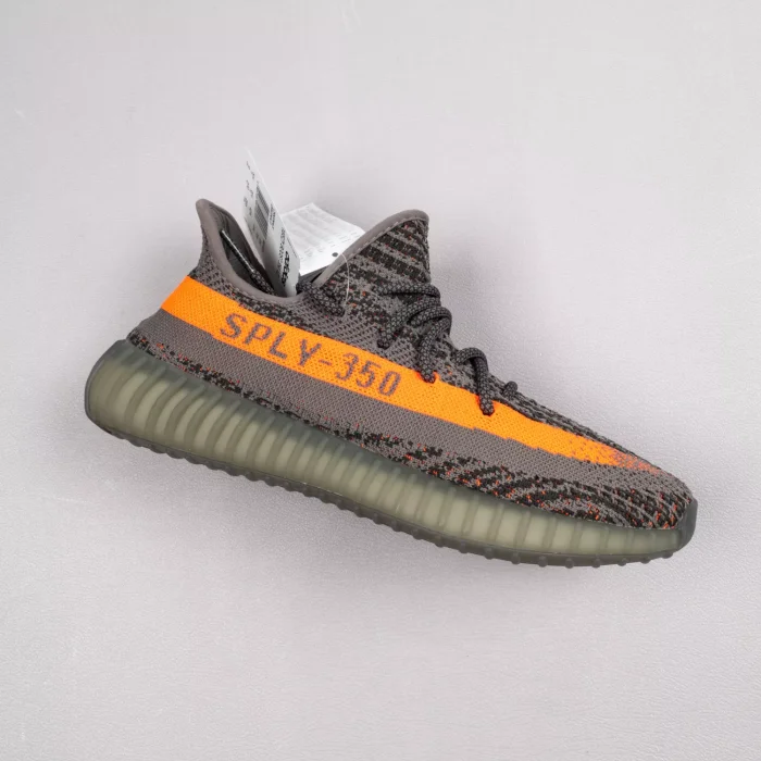 V2 Beluga Reflective