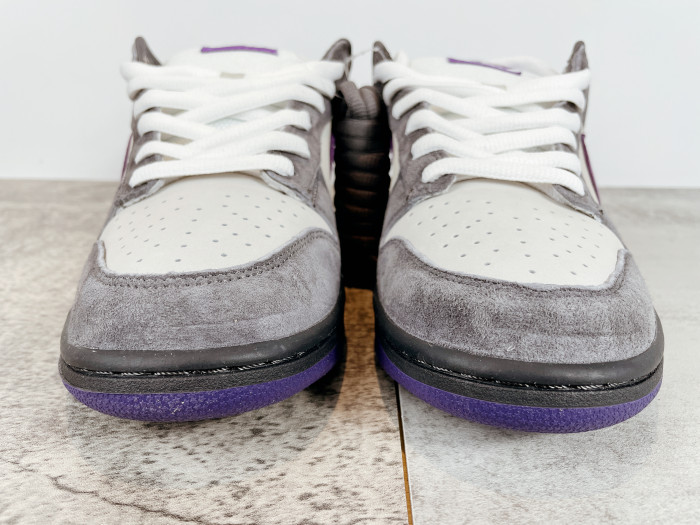 Dunk SB Low Purple Pigeon