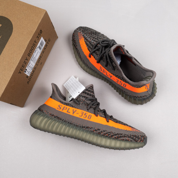 Beluga