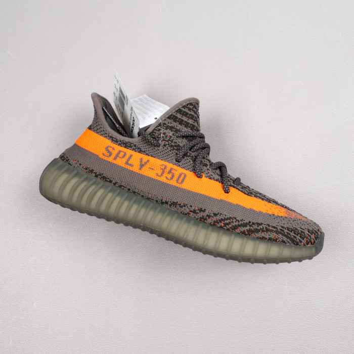 Beluga