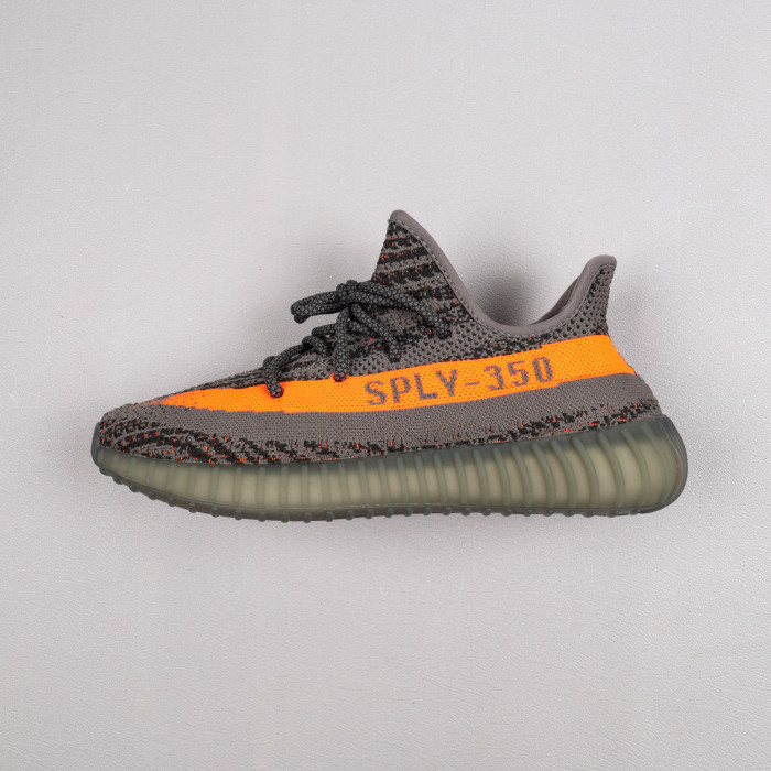Beluga