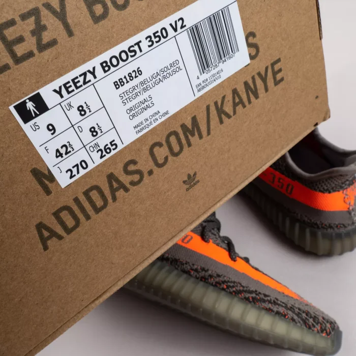 V2 Beluga Reflective