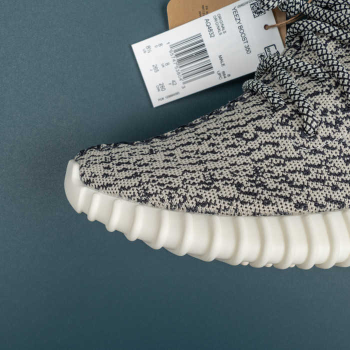350 Turtledove