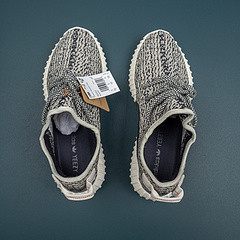 350 Turtledove